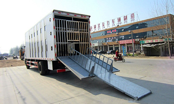 东风天锦 运猪车